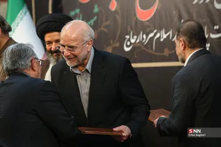 دبب