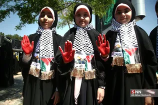دبب