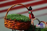 ماهی قرمز و سبزه شب عید