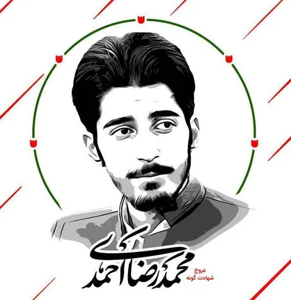 پیام تسلیت سخنگوی دولت در پی آسمانی شدن دانشجوی جهادگر محمدرضا احمدی