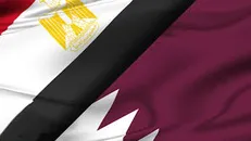 قطر به مصر گاز مایع نمی‌فروشد