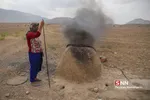 عشایر