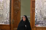 جلسه مشترک کمیسیون های ویژه حمایت از تولید ملی
