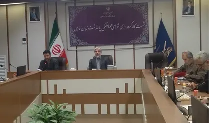 پیگیر تغییر نام&zwnj;های بیگانه مجتمع&zwnj;های تجاری بزرگ و ویژندها توسط شورای پاسداشت زبان فارسی