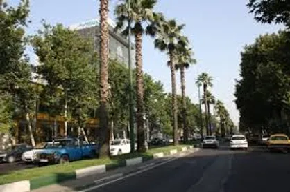 شهرداری برای سامانه اطلاعات مکانی درختان فکری کند