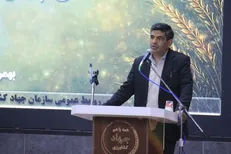 ثبات بازار مرغ چهارمحال و بختیاری با خرید حمایتی ۲۴۰ تن مرغ مازاد