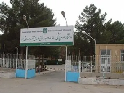 تبادلات علمی دانشگاه علوم پزشکی یزد با مجارستان گسترش می&zwnj;یابد
