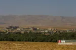 تخریب باغات