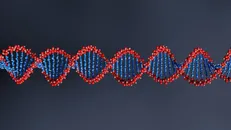استفاده از DNA چسبنده برای تولید ساختار‌های سازمان یافته