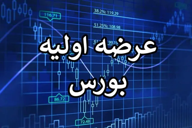 دوازدهمین عرضه اولیه بازار سهام