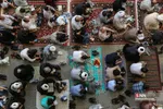 قرائت دعای عرفه در حرم مطهر حضرت فاطمه معصومه (س)