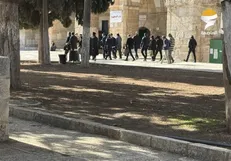 تعرض شهرک‌نشینان صهیونیست به مسجد الاقصی