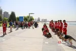 سگ