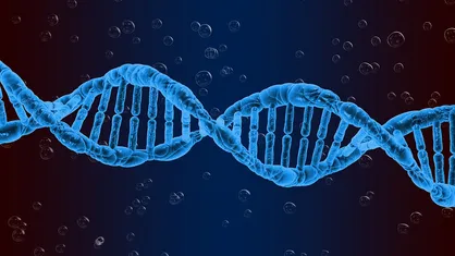 تولید نانوساختارهای DNA کپسول&zwnj;مانند