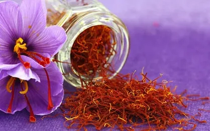 درخواست ده&zwnj;ها هزار کشاورز زعفران کار از مسئولان/ بازار صادراتی زعفران ایران منتظر تزریق خون تازه