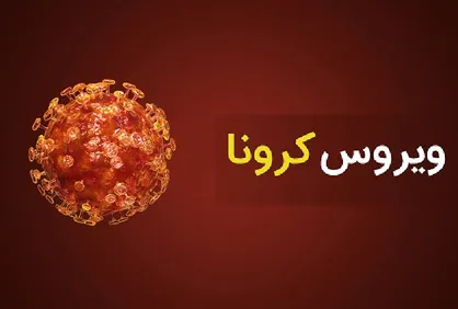 فیلم| راه&zwnj;اندازی تونل&zwnj;های رایگان ضدعفونی خودرو&zwnj;ها در شیراز