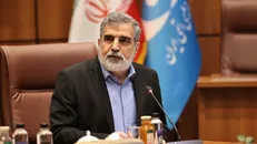 کمالوندی: صنعت هسته‌ای متوقف نخواهد شد