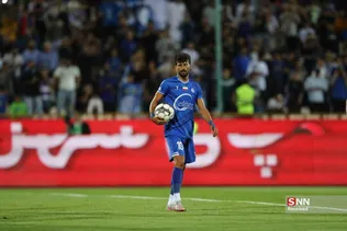 دبب