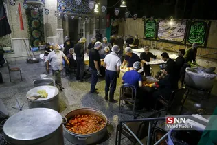 تربیت مدرس