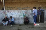 بازار دام