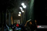 زلاون
