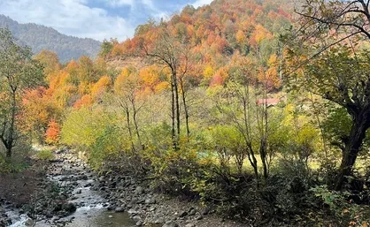 دمای گیلان افزایش می&zwnj;یابد