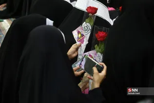 دبب