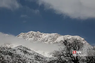 new