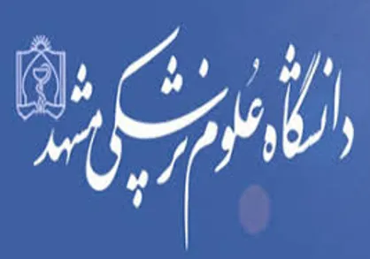 ۸۴ وب&zwnj;سایت انگلیسی&zwnj;زبان گروه&zwnj;های آموزشی در دانشگاه علوم پزشکی مشهد راه&zwnj;اندازی شد