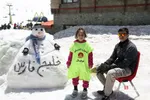 دبب