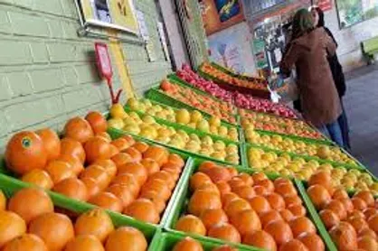 ساختار سازمان مدیریت میادین میوه و تره بار اصلاح می&zwnj;شود