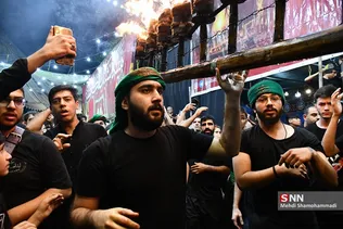 دبب