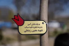 کاشت ۲۲ هزار اصله درخت مثمر در مدارس کرمان