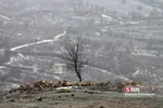 برف