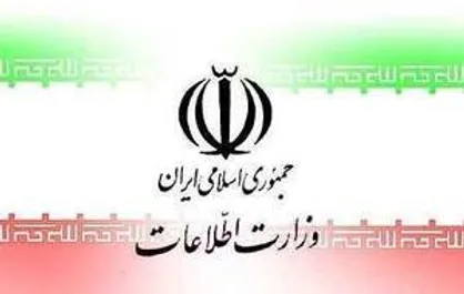 وزارت اطلاعات: تیم ۱۰ نفره عاملان جنایت میدان هروی بازداشت شدند