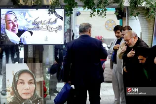 شسبسشب