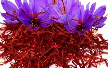 طلای سرخ با بسته&zwnj;بندی ایرانی در فروشگاه&zwnj;های اروپا و آمریکا