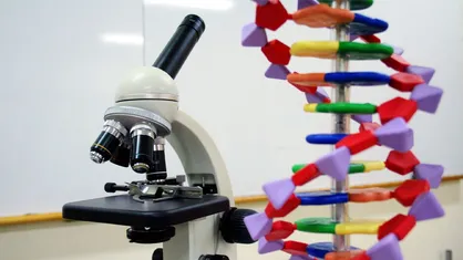 روباتیک مولکولی با کمک موتور&zwnj;های DNA توسعه می&zwnj;یابد