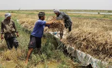 هشدار هواشناسی درباره خسارت به محصولات کشاورزان در ۱۹ استان