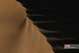 new