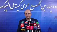 مجمع کمیته ملی المپیک به تعویق چهار ماهه دوره فعلی رای داد