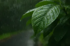 سامانه بارشی دوشنبه وارد ایران می‌شود/کاهش محسوس دما در برخی مناطق
