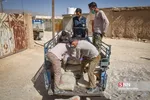 شبث