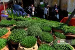 عیدماهی قرمز و سبزه شب عید