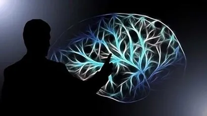 ۷۰ پژوهش شناختی در مسیر توسعه قرار گرفت