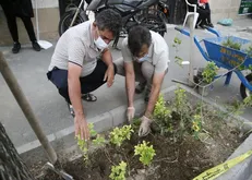 با مشارکت شهروندان محله‌های مرکزی شهر تهران کاشت و نگهداشت مشارکتی گل و گیاه آغاز شد