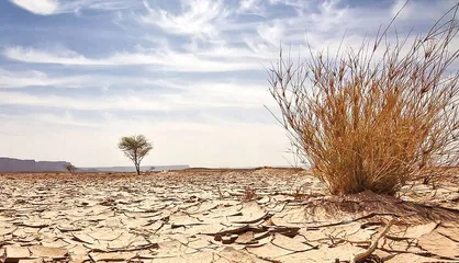 فراخوان حمایت از طرح&zwnj;های فناورانه در حوزه اقتصاد بیابان