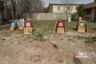 سشب