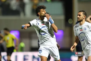 دبب
