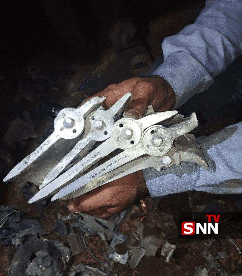 سظزر